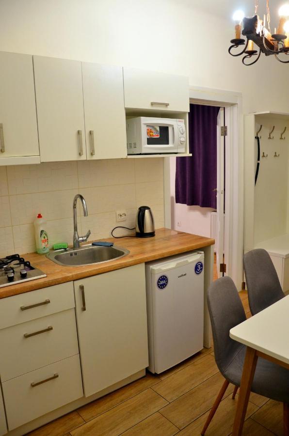 Brand New Apartment In City Center Львів Екстер'єр фото